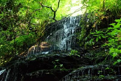 DSC_2837 (Large).JPG